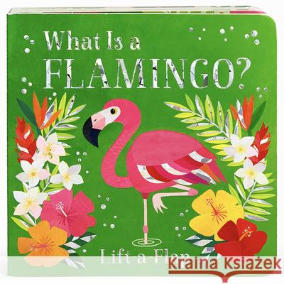 What Is a Flamingo? Cottage Door Press                       Ginger Swift Melanie Mikecz 9781680526363 Cottage Door Press - książka
