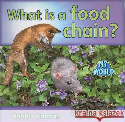 What Is a Food Chain? Bobbie Kalman 9780778795926 Crabtree Publishing Company - książka