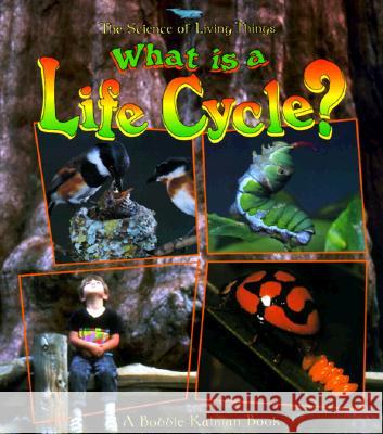 What Is a Life Cycle? Bobbie Kalman Jacqueline Langille 9780865058866 Crabtree Publishing Company - książka