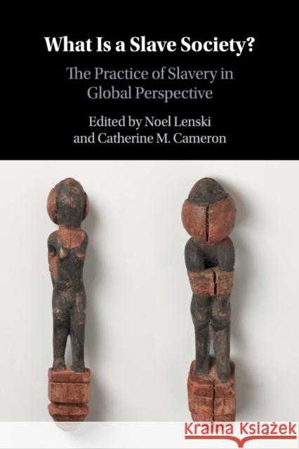 What Is a Slave Society?: The Practice of Slavery in Global Perspective Lenski, Noel 9781316508039 CAMBRIDGE SECONDARY EDUCATION - książka