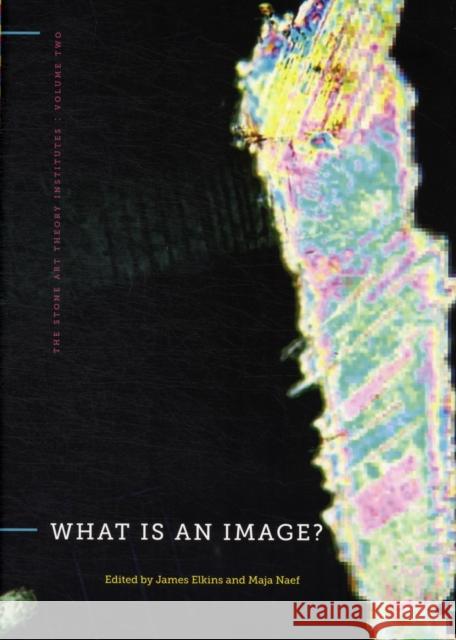 What Is an Image? James Elkins Maja Naef 9780271050645 Pen State University Press - książka