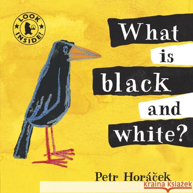 What Is Black and White? Petr Horacek 9781406325126 WALKER CHILDRENS HARDBACKS - książka