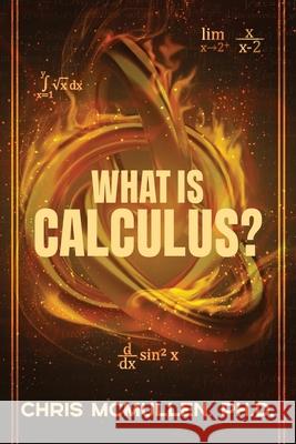 What is calculus?: Learn the basic concepts (without the hard math) Chris McMullen 9781941691496 Zishka Publishing - książka
