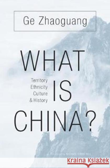 What Is China?: Territory, Ethnicity, Culture, and History Zhaoguang Ge Michael Gibbs Hill 9780674737143 Harvard University Press - książka