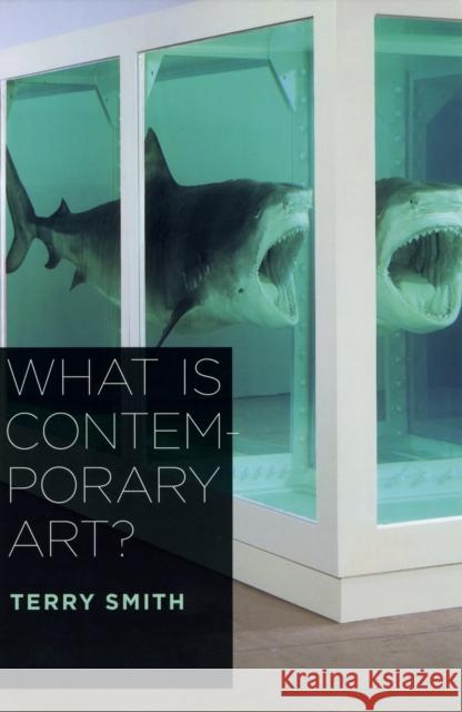 What Is Contemporary Art? Terry Smith 9780226764313 University of Chicago Press - książka