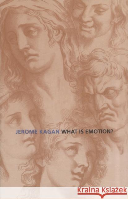 What Is Emotion?: History, Measures, and Meanings Kagan, Jerome 9780300143096 Yale University Press - książka