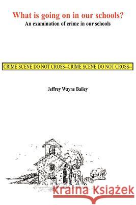 What is Going on in Our Schools?: An Examination of Crime in Our Schools Bailey, Jeffrey W. 9780595138142 iUniversity Press - książka