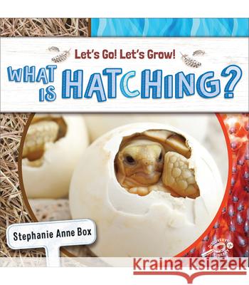 What Is Hatching? Stephanie Anne Box 9781731652218 Discovery Library Jr - książka