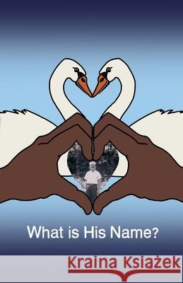 What is His Name? Stephen Meiner 9798224863129 Stephen Meiner - książka