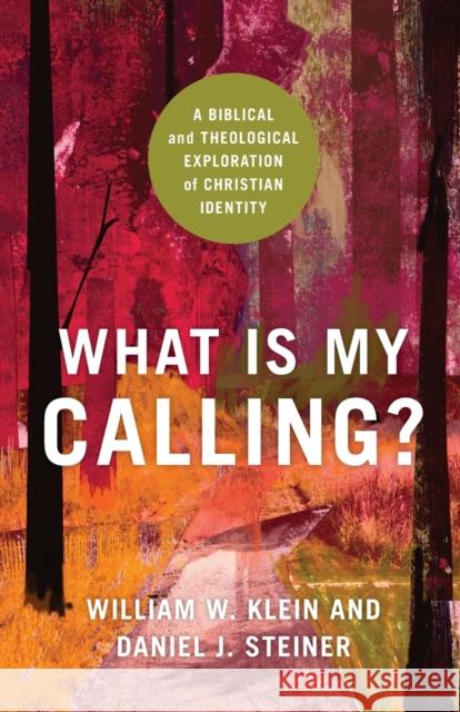 What Is My Calling? – A Biblical and Theological Exploration of Christian Identity Daniel J. Steiner 9781540963079 Baker Publishing Group - książka