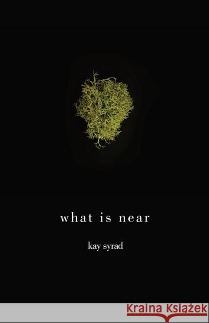 what is near Syrad, Kay 9781788641135 Cinnamon Press - książka