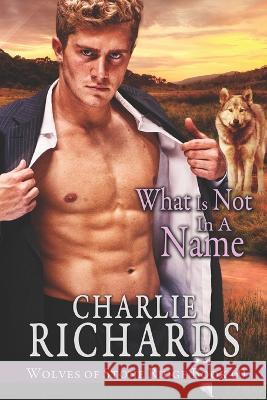 What is Not in a Name Charlie Richards 9781487437565 Extasy Books - książka