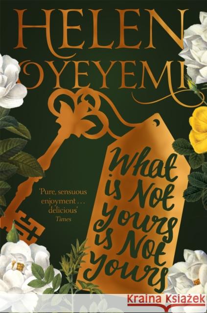 What Is Not Yours Is Not Yours Oyeyemi, Helen 9781447299394 Pan Macmillan - książka