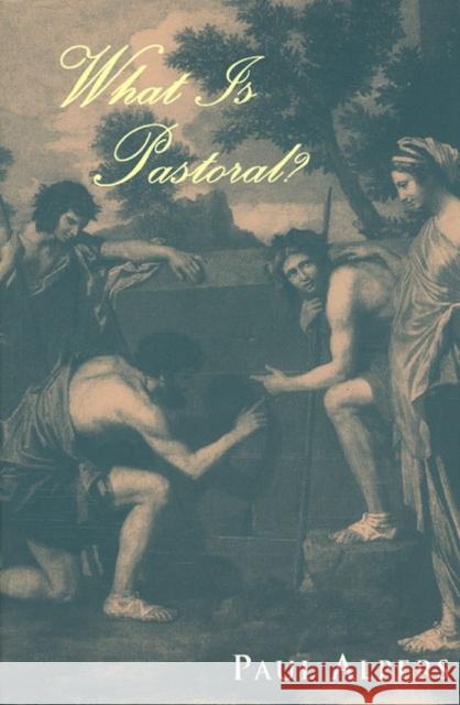 What Is Pastoral? Paul Alpers 9780226015170 University of Chicago Press - książka