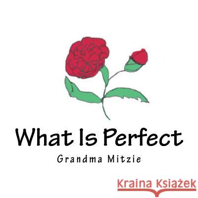 What Is Perfect Marlene Eisen 9781945745904 Dawnrigger Publishing - książka