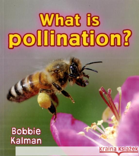 What Is Pollination? Kalman, Bobbie 9780778733065 Not Avail - książka