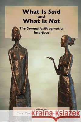 What is Said and What is Not Carlo Penco Filippo Domaneschi 9781575866680 Center for the Study of Language and Informat - książka