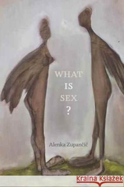 What IS Sex? Alenka (Senior Research Fellow, Filozofski Institut ZRC SAZU) Zupancic 9780262534130 MIT Press Ltd - książka