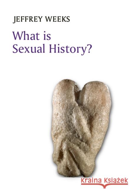 What Is Sexual History? Weeks, Jeffrey 9780745680248 John Wiley & Sons - książka