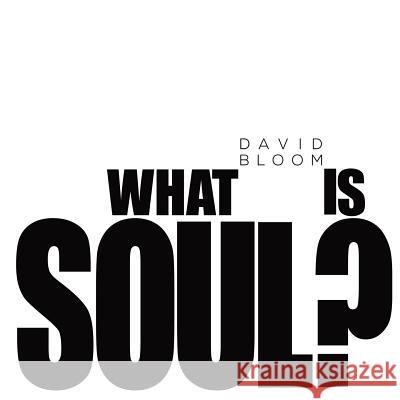 What Is Soul? David Bloom 9780976914846 Fire & Form Publishing /Bloom School of Jazz - książka