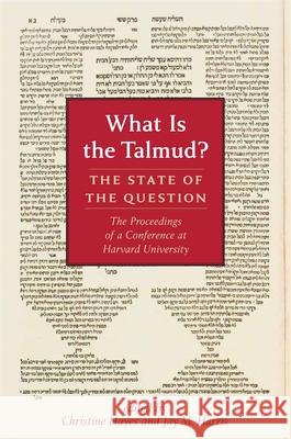 What Is the Talmud?: The State of the Question Christine Hayes Jay M. Harris 9780674305564 Julis-Rabinowitz Program on Jewish and Israel - książka