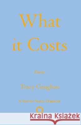 What it Costs Tracy Gaughan 9781915573001 Southword Editions - książka