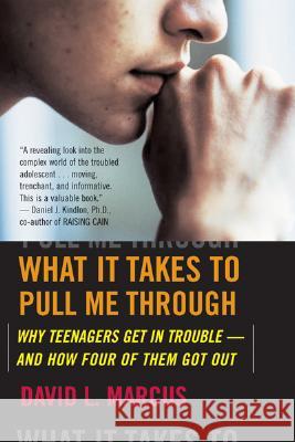 What It Takes to Pull Me Through: Why Teenagers Get in Trouble and How Four of Them Got Out David L. Marcus 9780618772025 Houghton Mifflin Company - książka