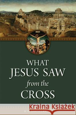 What Jesus Saw from the Cross (Revised) , A. G. G. 9780918477378 Sophia Institute Press - książka