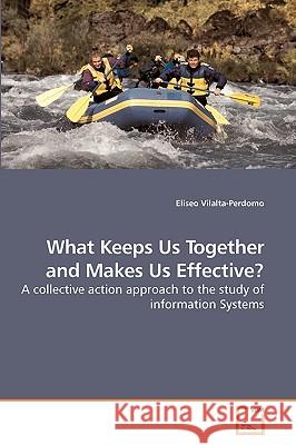 What Keeps Us Together and Makes Us Effective? Eliseo Vilalta-Perdomo 9783639239997 VDM Verlag - książka