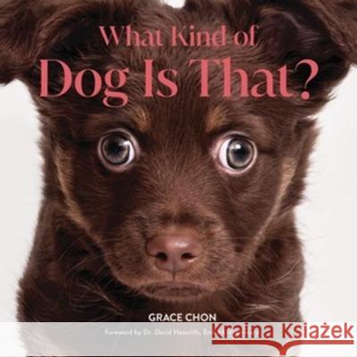 What Kind of Dog Is That? Grace Chon 9781682689646 Countryman Press - książka