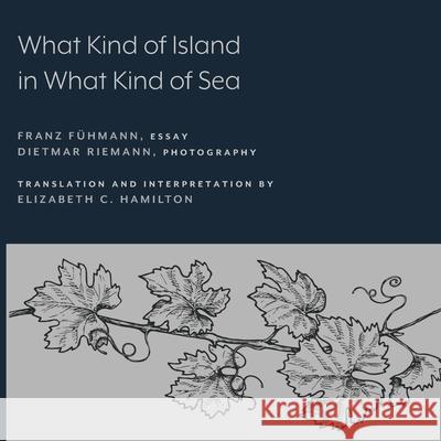 What Kind of Island in What Kind of Sea? F Elizabeth C. Hamilton 9781643150277 Lever Press - książka