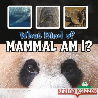 What Kind of Mammal Am I? Taylor Farley 9781039662124 Crabtree Seedlings - książka