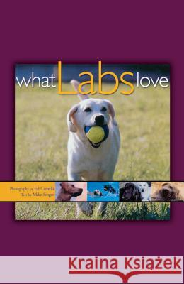 What Labs Love Ed Camelli 9781620457252 John Wiley & Sons - książka