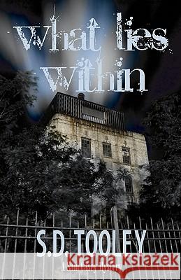 What Lies Within S. D. Tooley 9780982035238 Full Moon Publishing - książka