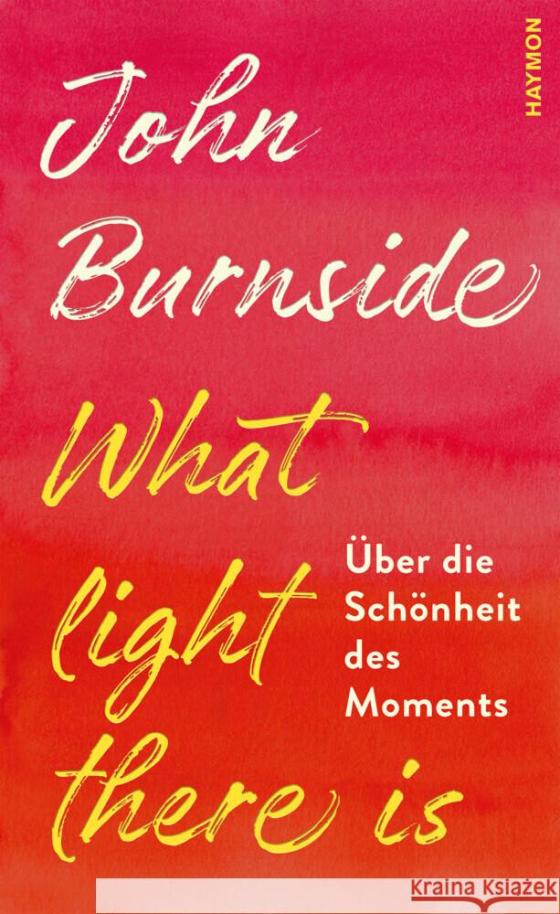 What light there is Burnside, John 9783709981146 Haymon Verlag - książka