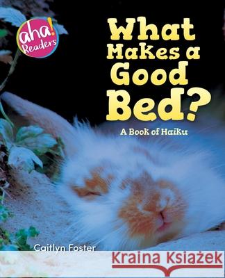 What Makes a Good Bed?: A book of Haiku Caitlyn Foster Tara Raymo Luana Kay Mitten 9780999092446 Bealu Books - książka