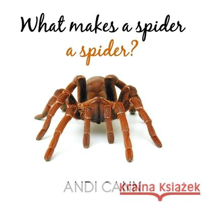 What Makes a Spider a Spider Andi Cann 9781949761849 Mindview Press - książka