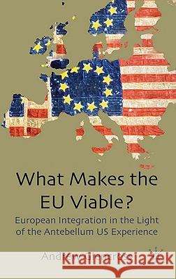 What Makes the EU Viable?: European Integration in the Light of the Antebellum US Experience Glencross, A. 9780230224506 PALGRAVE MACMILLAN - książka