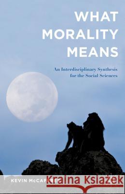 What Morality Means: An Interdisciplinary Synthesis for the Social Sciences McCaffree, Kevin 9781137449283 Palgrave MacMillan - książka