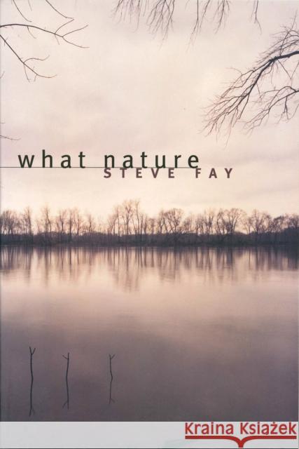 What Nature: Poems Fay, Steve 9780810150799 Triquarterly Books - książka