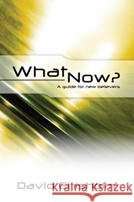 What Now ?: A Guide for New Believers Dr David R. Chisholm 9781475102512 Createspace - książka