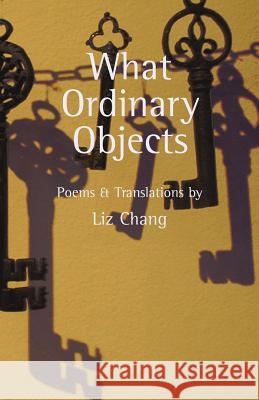 What Ordinary Objects Liz Chang 9780979586132 Book&Arts Press - książka