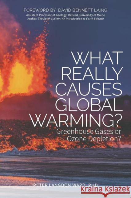 What Really Causes Global Warming?: Greenhouse Gases or Ozone Depletion?  9781630477981 Morgan James Publishing - książka