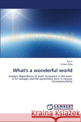 What's a wonderful world Li, Tao 9783846506172 LAP Lambert Academic Publishing - książka