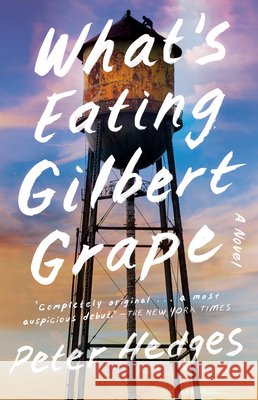What's Eating Gilbert Grape Peter Hedges 9780671038540 Simon & Schuster - książka