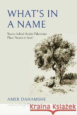 What's in a Name: Stories Behind Arabic-Palestinian Place-Names in Israel Amer Dahamshe 9780253075185 Indiana University Press - książka