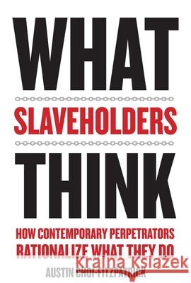 What Slaveholders Think: How Contemporary Perpetrators Rationalize What They Do Choi-Fitzpatrick, Austin 9780231181822 John Wiley & Sons - książka