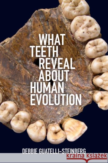 What Teeth Reveal about Human Evolution Debbie Guatelli-Steinberg 9781107442603 Cambridge University Press - książka