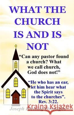 What The Church Is And Is Not Omosigho, Joseph Blessing 9781548276133 Createspace Independent Publishing Platform - książka