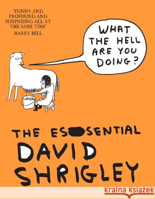 What The Hell Are You Doing?: The Essential David Shrigley David Shrigley 9781847678638 Canongate Books - książka